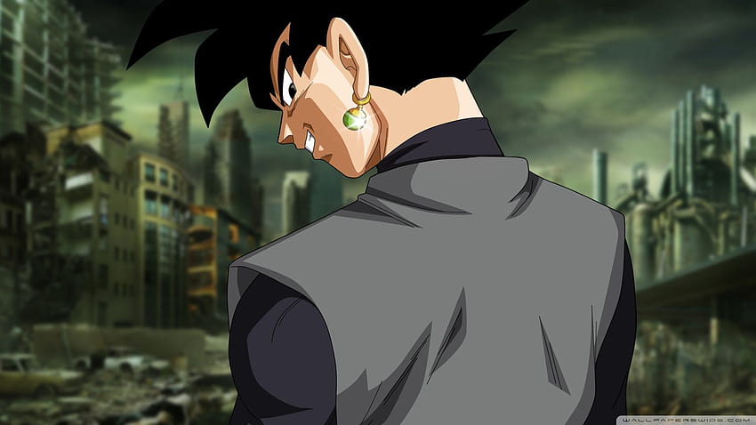 Black Goku . Dragon Ball Z Dokkan, Black Goku SSR HD wallpaper