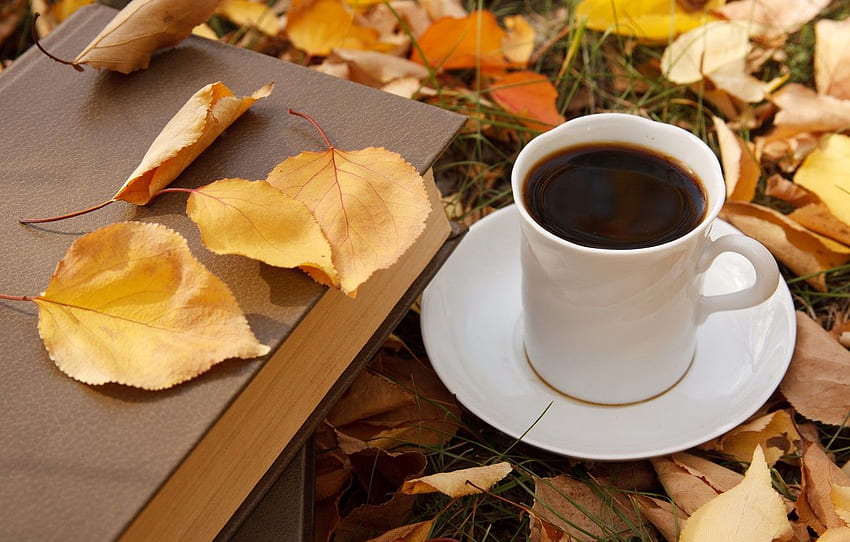 autumn, leaves, coffee, Cup, autumn, leaves, book HD wallpaper