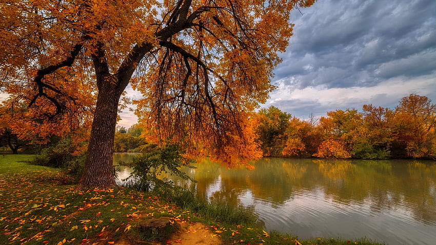 Un jour nuageux à l'automne, branches, nuages, automne, étang, feuillage, arbre, automne, lac, feuilles, jour, réflexion Fond d'écran HD