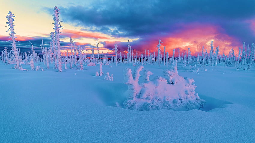 Sumava NP, Böhmen, Tschechische Republik, Schnee, Bäume, Farben, Landschaft, Wolken, Himmel, Sonnenuntergang HD-Hintergrundbild
