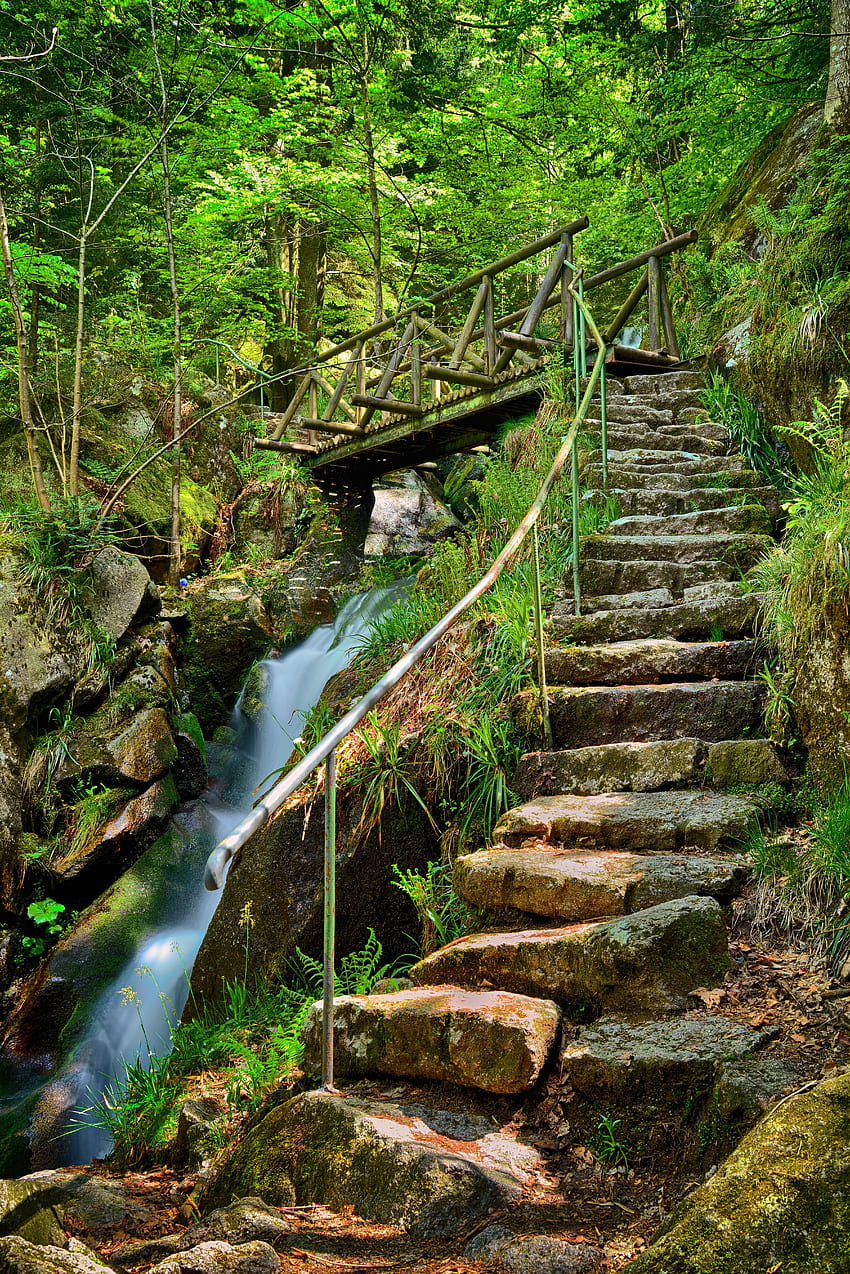 Natura, kamienie, wodospad, most, kroki, zatoczka, strumyk Tapeta na telefon HD