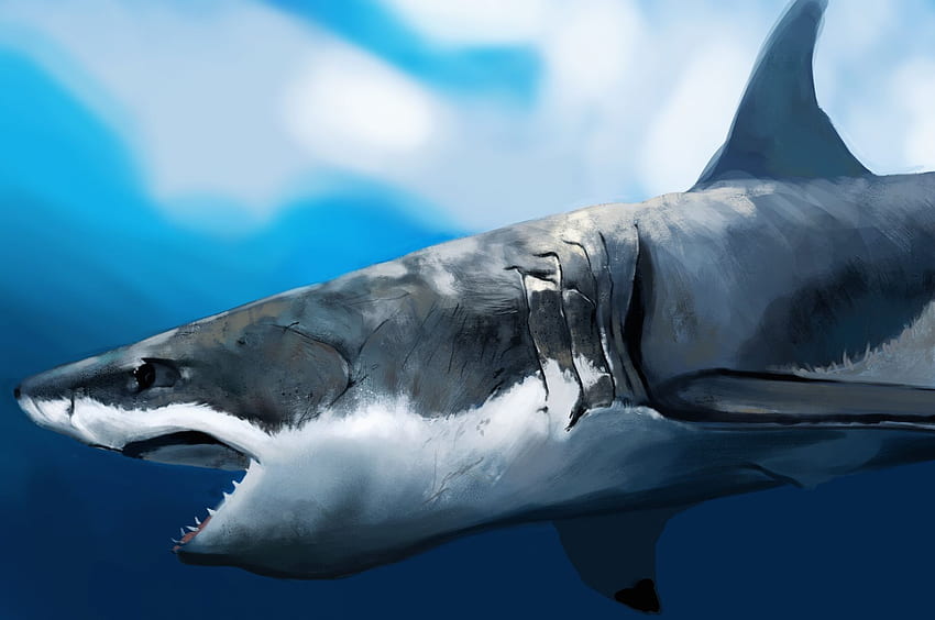Bajo el agua, el arte del tiburón, la boca del hambre. fondo de pantalla