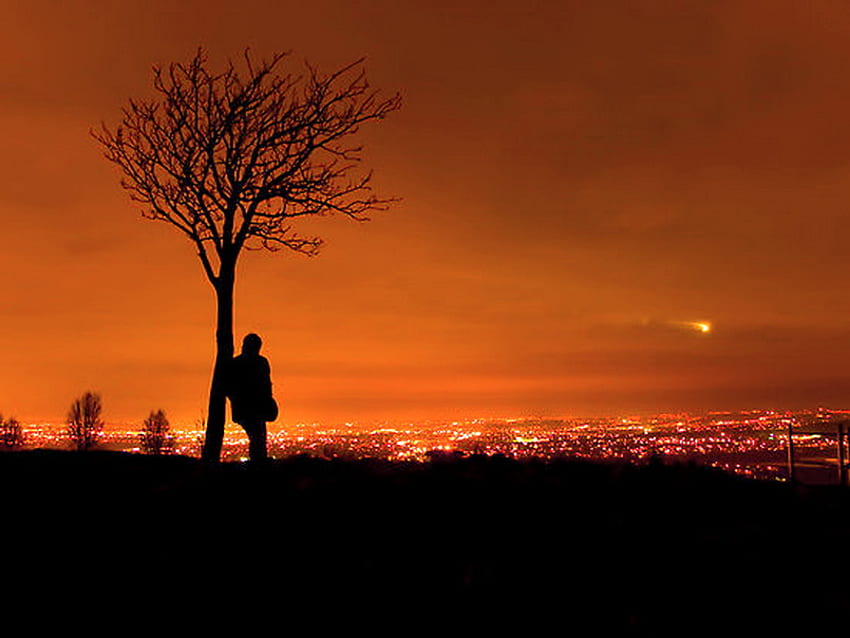 A man and his thoughts, night, orange sky, city, lights, man, tree HD wallpaper