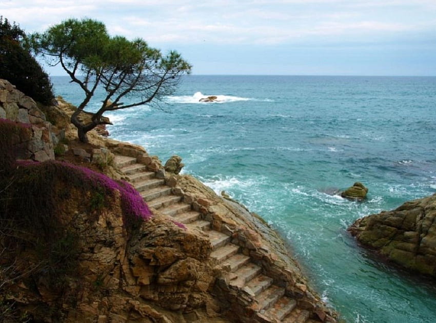 Stairs to the sea, sea, seaside, stairs, nature, beach HD wallpaper
