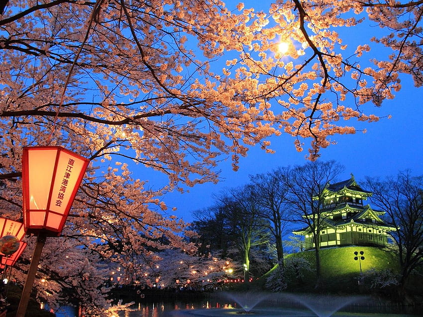 Other: Japanese Night Beauty Takadakouen Lake Cherry Blossom Sky HD ...