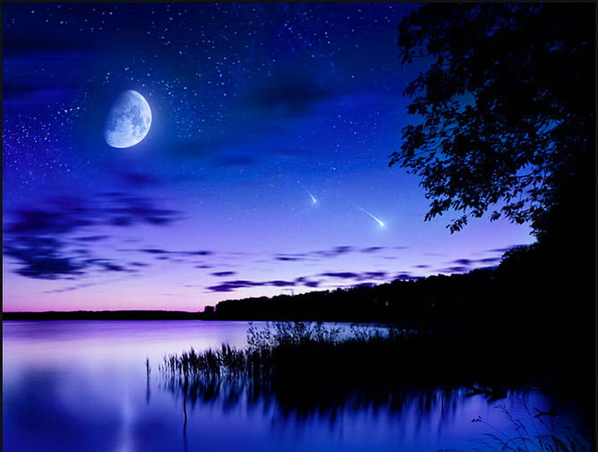 Himmelsshow, Nacht, Mond, Kometen, Bäume, Himmel, Sterne, Wasser HD-Hintergrundbild