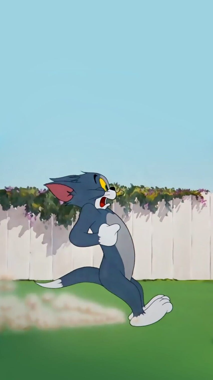 ✨ üzerinde normal isim. Karikatür , Tom, Tom ve Jerry Estetiği HD telefon duvar kağıdı