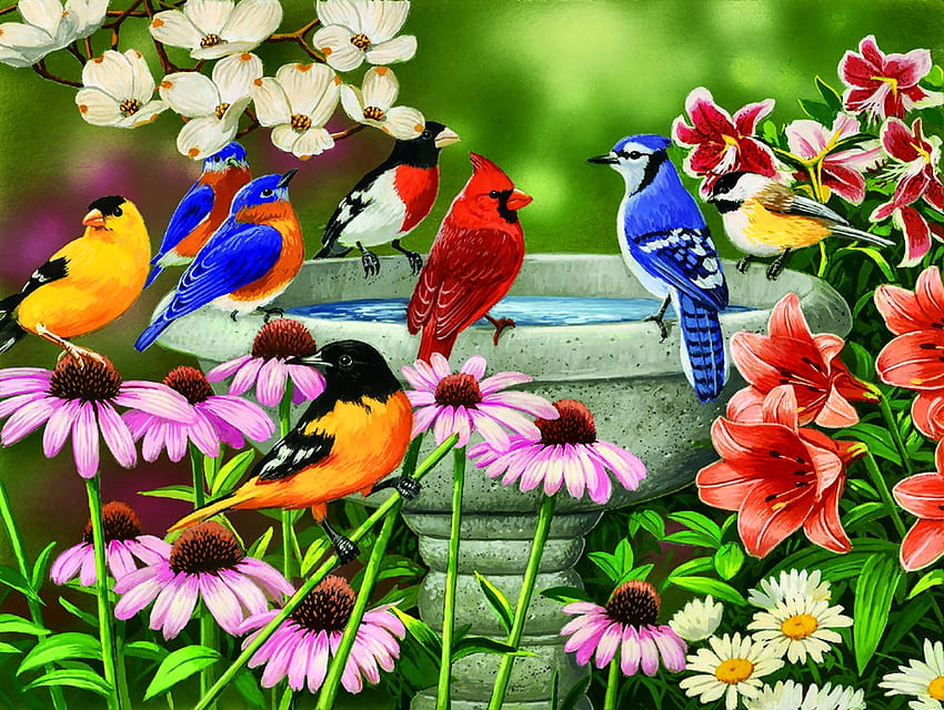 Garden Birdbath F2Cmp, 동물, birdbath, 조류, , goldfinch, 추기경, 박새, 새, 예술, 꾀꼬리, 아름다운, 삽화, 작품, 장미 가슴 고등어, 야생 동물, 파랑새, 꽃 HD 월페이퍼