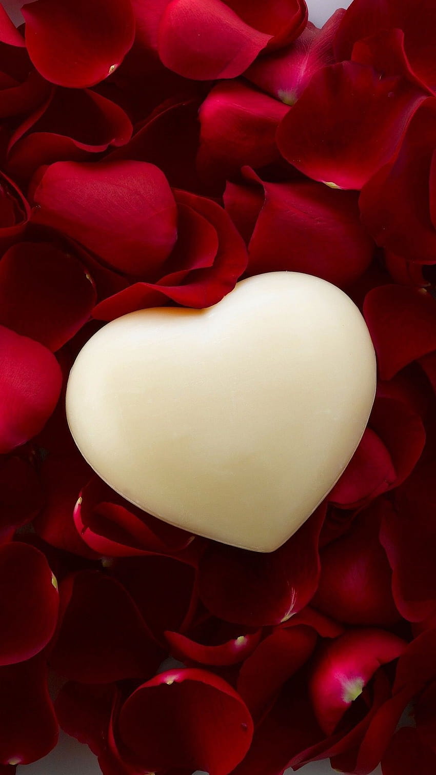 Arte de pétalos de rosa de corazón blanco. Corazón , Corazón de amor , romántico fondo de pantalla del teléfono