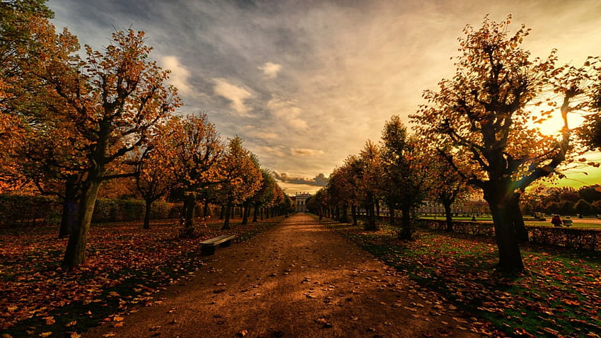 tree lined dirt driveway to a palace, trees, dirt, palace, driveway HD wallpaper
