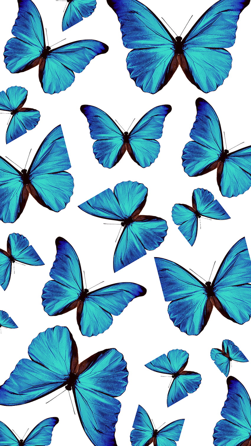 Blue Aesthetic in 2020. Butterfly background, Butterfly iphone, Blue  butterfly, Neon Butterfly HD phone wallpaper | Pxfuel