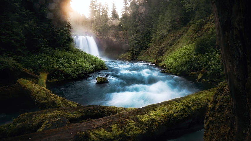 Koosah falls, Oregon, river, trees, cascades, rocks, usa HD wallpaper