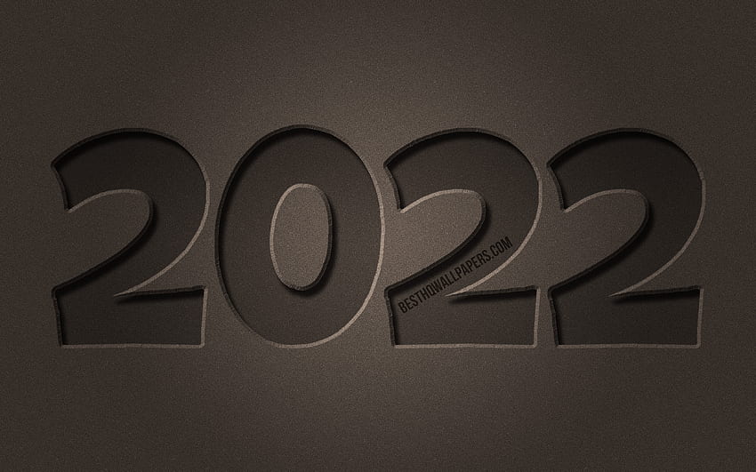 2022 braune Steinziffern, Frohes Neues Jahr 2022, brauner Stein, horizontaler Text, 2022 Konzepte, Drähte, 2022 Neujahr, 2022 auf braunem Hintergrund, 2022 Jahresziffern HD-Hintergrundbild