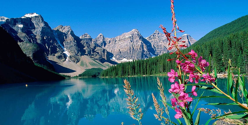 Danau Moraine, Taman Nasional Banff, bunga, kanada, pegunungan, alberta Wallpaper HD