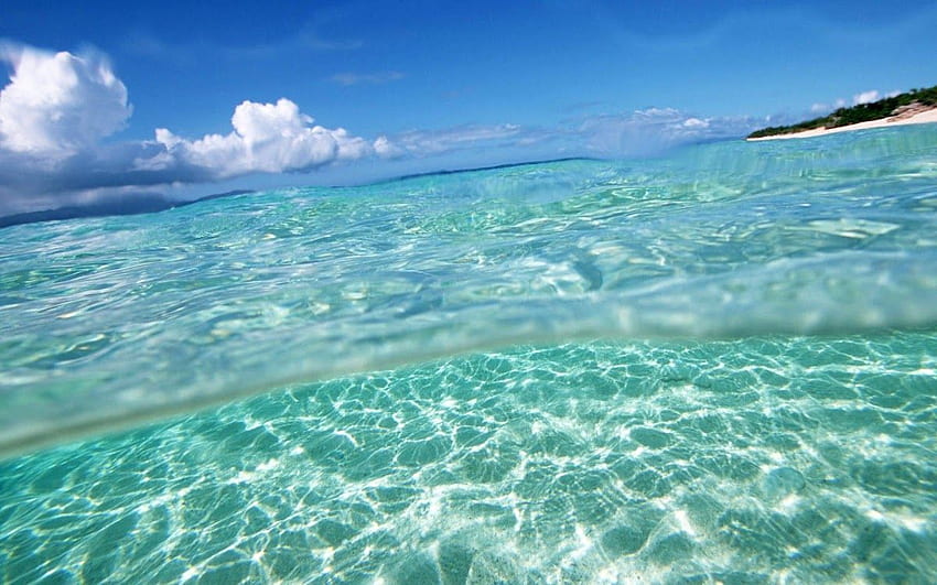 クリスタルクリアウォーター。 . 自然のビーチ, 水, 澄んだ水, 透き通った海 高画質の壁紙