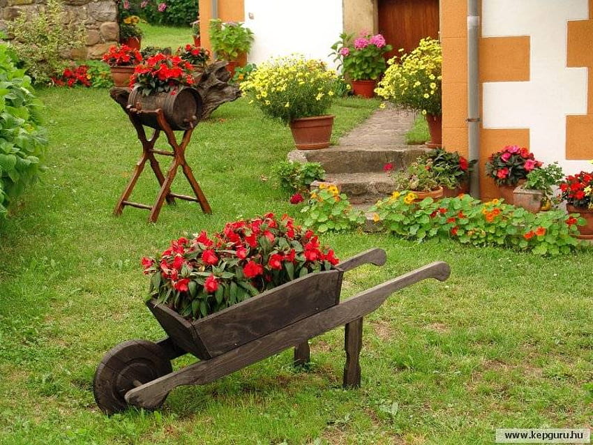 裏庭の花の庭、裏庭、植木鉢、アート、黄色、赤、美しい、花、草 高画質の壁紙