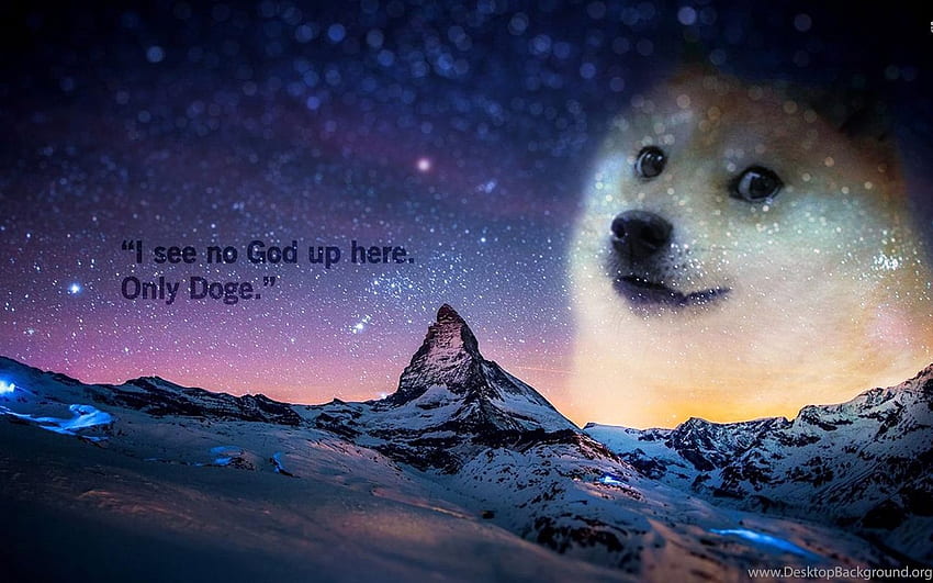พื้นหลัง Doge Meme, Doggo Meme วอลล์เปเปอร์ HD