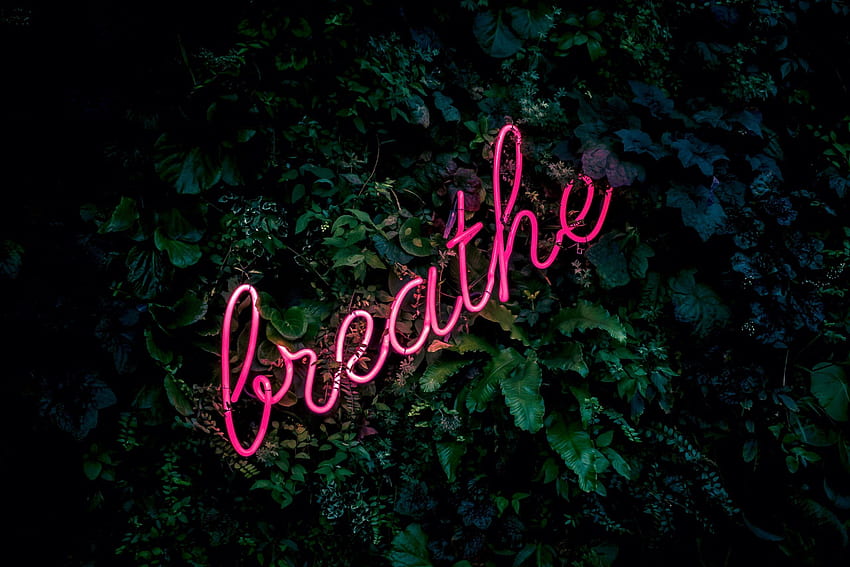 Aesthetic • Pink breathe neon sign HD wallpaper