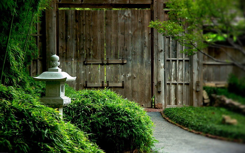 この道をたどってください。 屋外スペース。 庭園, 緑, 日本の石 高画質の壁紙
