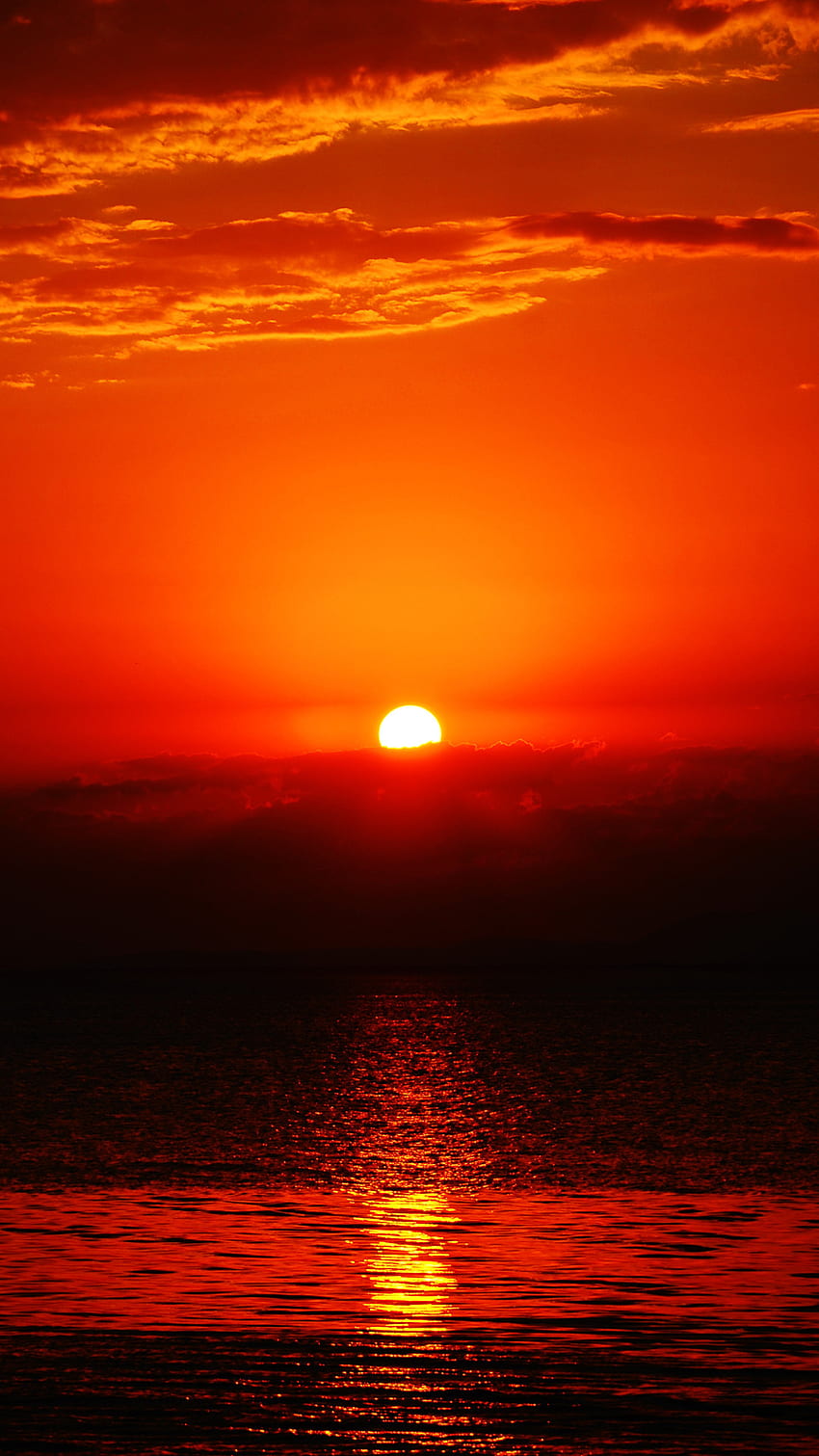 พระอาทิตย์ขึ้น, ดวงอาทิตย์สีแดง วอลล์เปเปอร์โทรศัพท์ HD