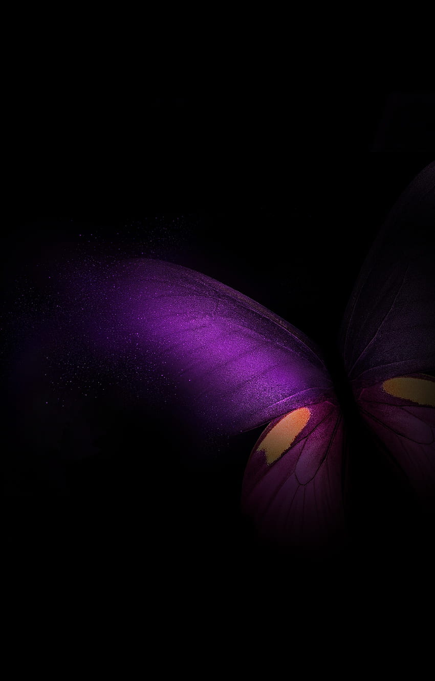 Samsung Galaxy Fold, butterfly, purple-pink-black HD phone wallpaper