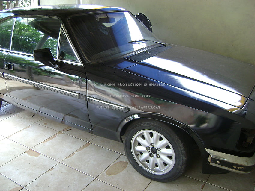 opala diplomata opalao comodoro cars, Chevrolet Opala HD wallpaper