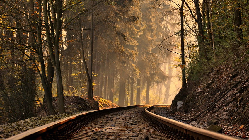 railroad track in a forest on a misty morning, fog, morning, tracks, forest, railroad HD wallpaper