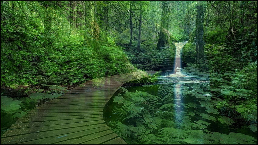 Спокойна зелена природа, спокойна гора HD тапет