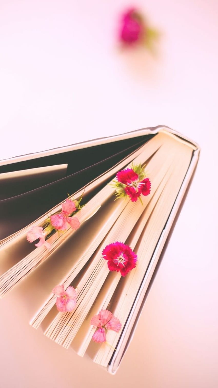 art, background, beautiful, beauty, book, color, colorful, design, fashion, fashionable, flowers, girl, girly, inspiration, leaves, luxury, nature, pastel, pink, pretty, soft, still life, style, vintage, , , we heart it, woman, cute, Beautiful Books HD phone wallpaper