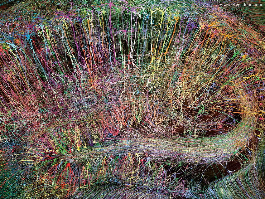 GREG DUNN NEURO ART – Arte visiva. Arte delle neuroscienze. Pittura a foglia d'oro Sfondo HD
