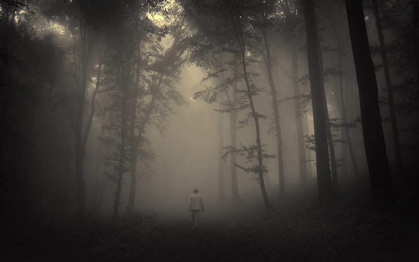 drzewa leśne przerażający kraj przyroda mglisty samotny starzec nastrój drogi [] na telefon komórkowy i tablet. Przeglądaj Upiorny Las. Straszny Las, Ciemny Las, Straszna Droga Tapeta HD