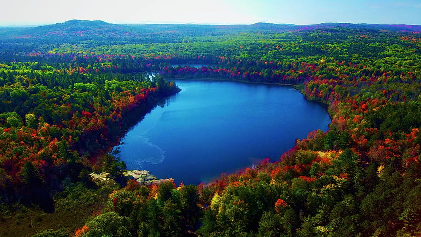 Three Lakes, 마켓, 미시간, 가을, 가을, 풍경, 나무, 색상, 하늘, 숲, 미국 HD 월페이퍼