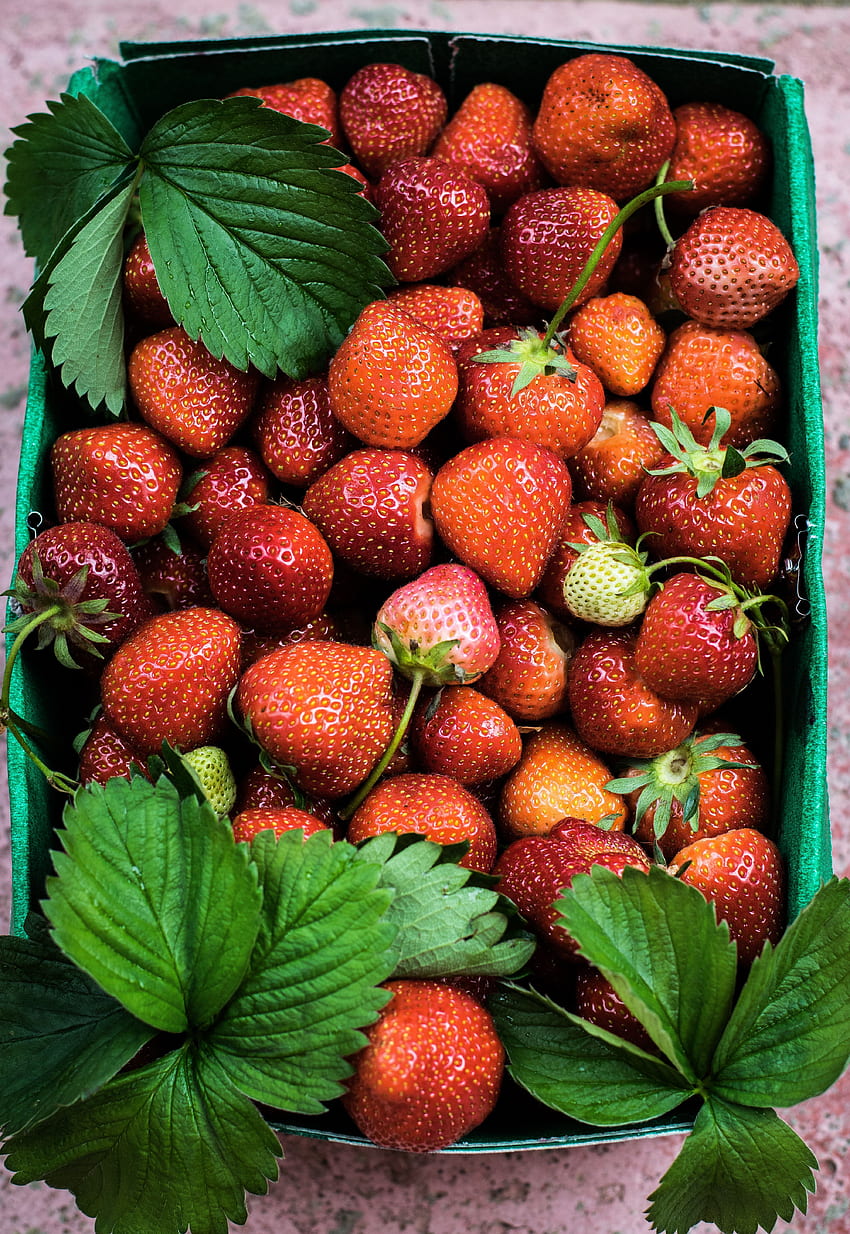 Essen, Erdbeere, Sommer, Beeren, reif HD-Handy-Hintergrundbild