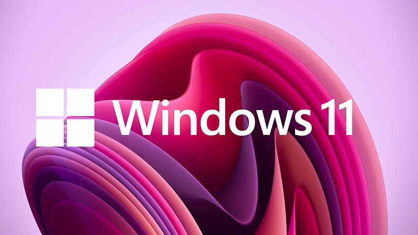 Windows 11 review, Windows 11 Purple HD wallpaper