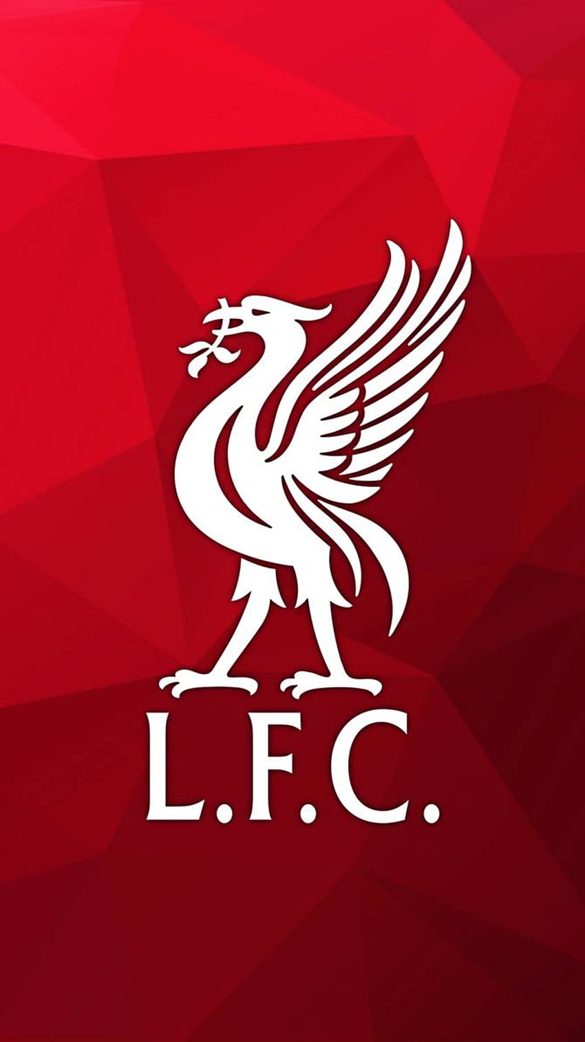 Лого на FC Liverpool за iPhone и мобилни телефони с Android - Liverpool Core, лого на птица HD тапет за телефон