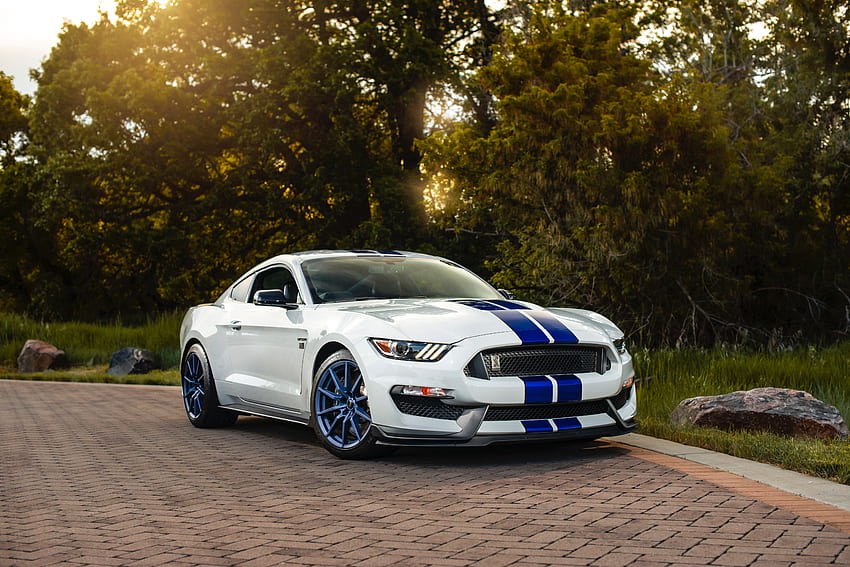 Ford, Sports, Cars, Car, Machine, Sports Car, Side View, Ford Mustang Gt350 HD wallpaper