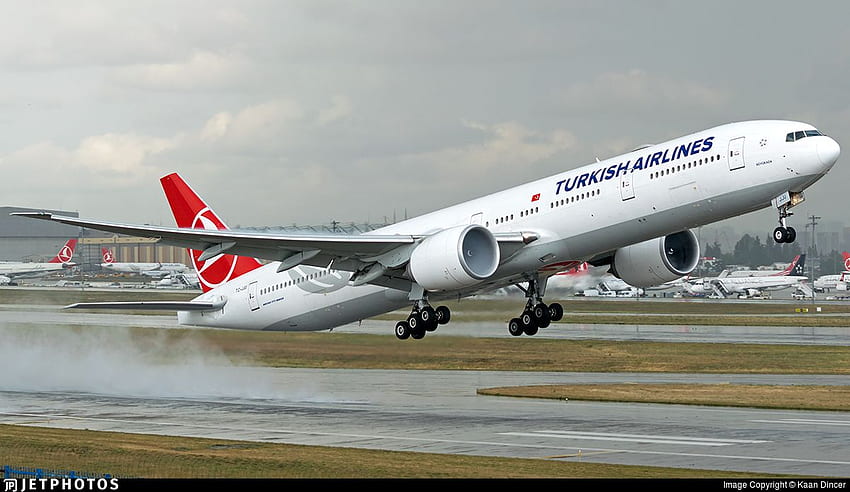 Pomysły tureckich linii lotniczych. tureckie linie lotnicze, linie lotnicze, turecki Tapeta HD