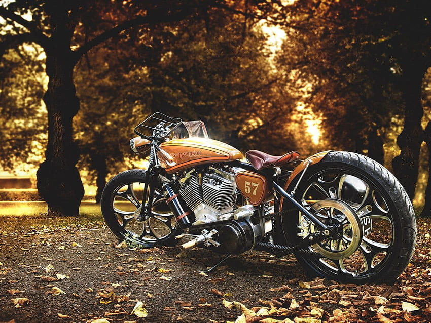 Motocicleta cruiser marrom e cinza, Bobber Bike papel de parede HD