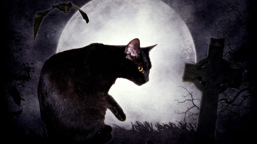 Fantasy dark cats Black Cat fantasy art digital art cemetery Edgar Allan Poe bats The Black Cat tombs ., Black and White Cat Art HD wallpaper