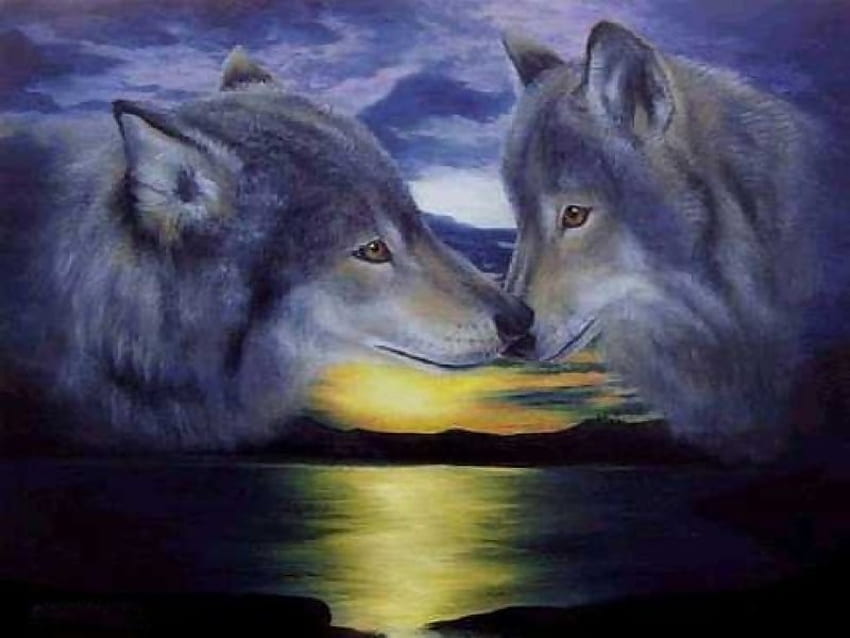 A TENDER KISS, two, wolves, water, sunset HD wallpaper