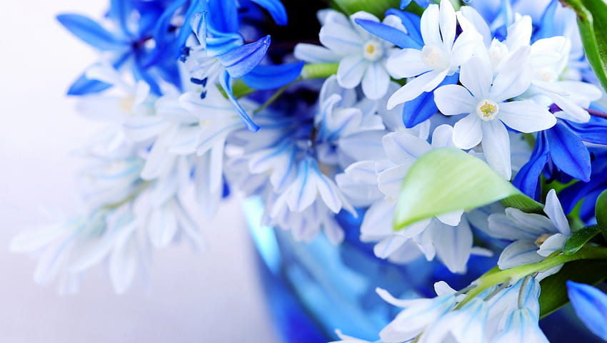 Cudowne niebieskie kwiaty, niebieski, graficzny, natura, cudowne, niebieskie kwiaty Tapeta HD