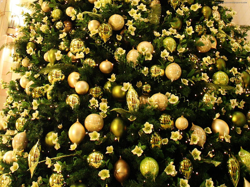 Коледна елха, отражение, големи, красиви, жълти цветя, украсени, осветление, златни топки HD тапет