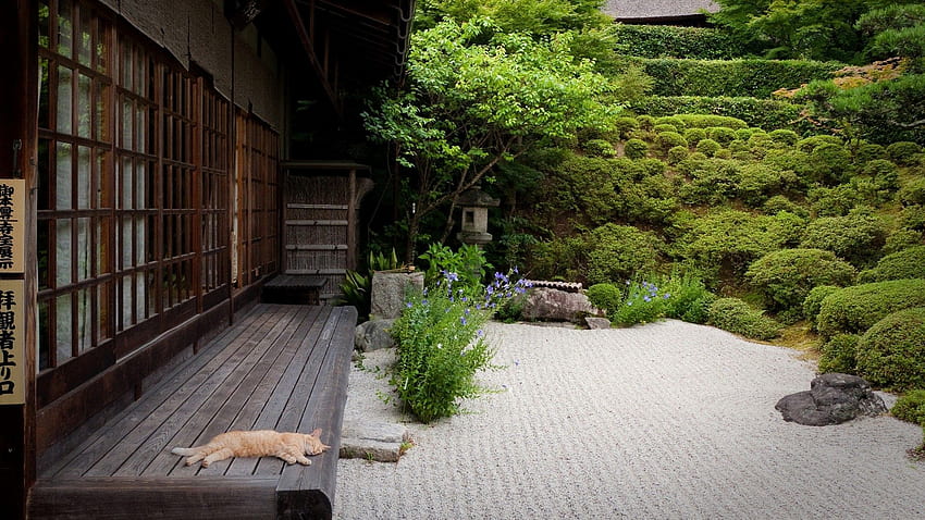 Zen Inspirational Cats Harmony Japanese Gardens Sleeping Wallpaper HD