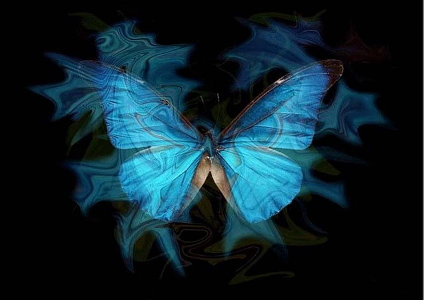 Misty Blue, puslu kanatlar, siyah üzerine, mavi kelebek HD duvar kağıdı