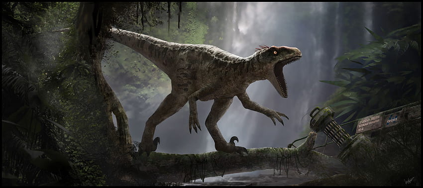Raptor Jurassic Park Pełny park jurajski firmy [] na Twój telefon komórkowy i tablet. Poznaj Jurassic World Velociraptor. Jurassic World Velociraptor, Jurassic World Tapeta HD
