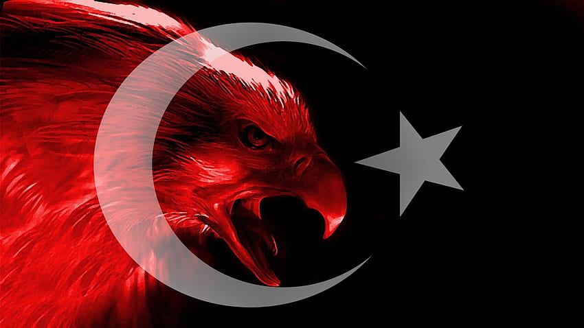 : illustration, red, flag, Turkey, Turkish, eagle HD wallpaper