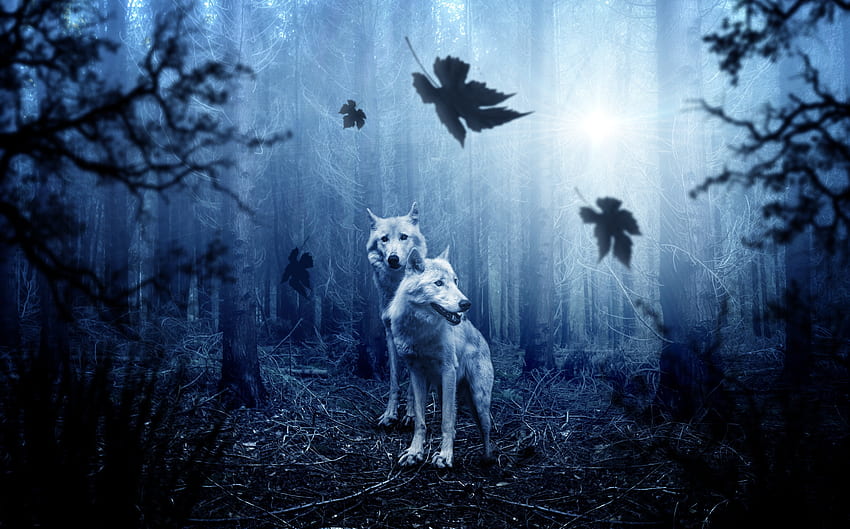Tiere, Wölfe, Raubtiere, Wald, Hopfen HD-Hintergrundbild