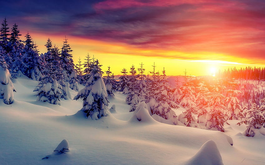พระอาทิตย์ตก หิมะ ฤดูหนาว ท้องฟ้า ป่า ฤดูหนาวนอร์ดิก วอลล์เปเปอร์ HD