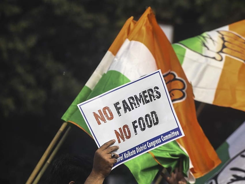 Agricultores da Índia bloqueiam trilhos de trem e estradas em ação nacional contra novas leis - World, No Farmers No Food papel de parede HD