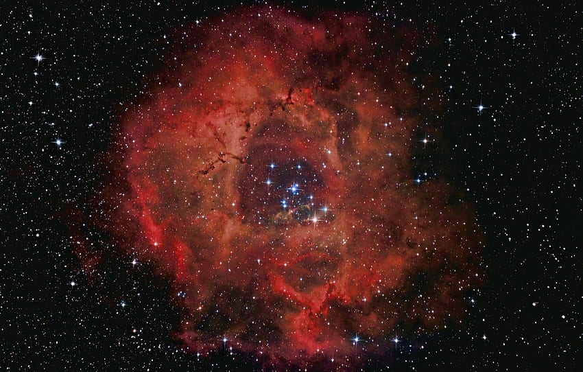 NGC 2237, мъглявината Розета, мъглявината Розета HD тапет
